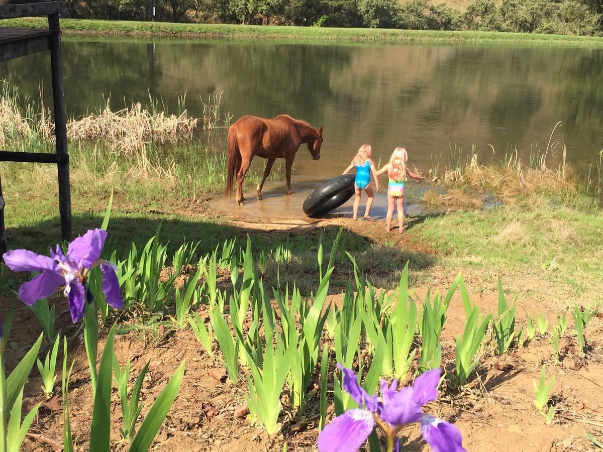 Meadow Lane Country Cottages Underberg Bagian luar foto
