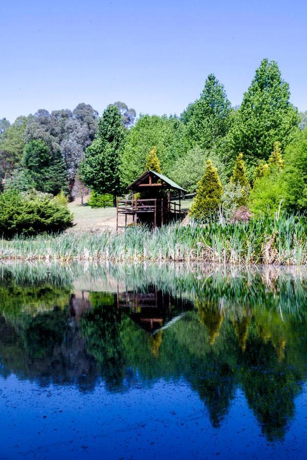 Meadow Lane Country Cottages Underberg Bagian luar foto